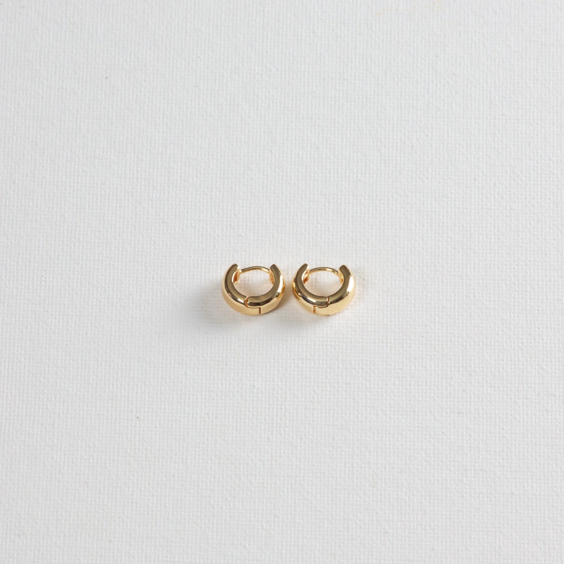 Brie earrings, a small, short, slightly stubby shaped hoops on a white background.